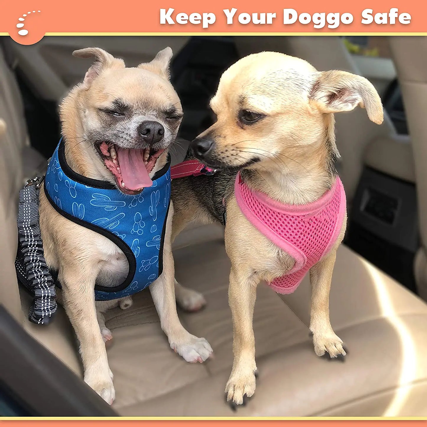 2 Pack Adjustable pet seat belt leashes